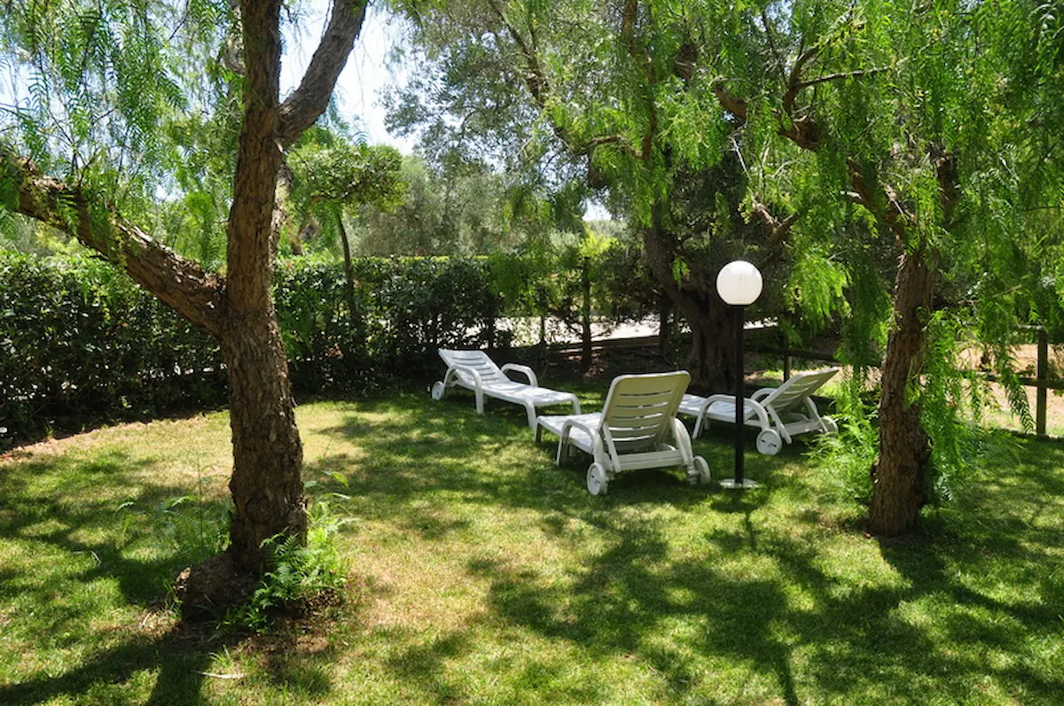 Zona solarium nel giardino alberato con lettini prende sole - B&B Sunshine Otranto